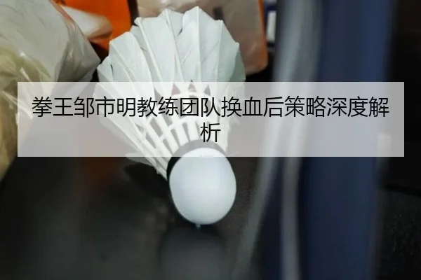 拳王邹市明教练团队换血后策略深度解析 | Yabo